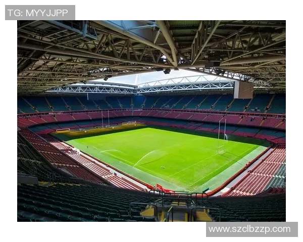 现役德贵足球明星的风采与成就解析,探索他们在绿茵场上的传奇故事